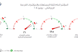 consumer sentiment