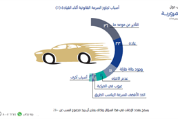 السلامة المرورية 