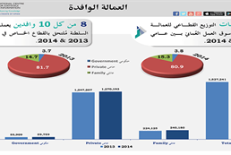 expatriate workers-2 