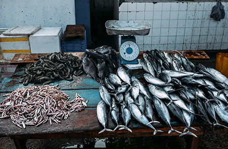 OMR 159.7 Million: Value of Fish Landings in Oman by End of March 2025