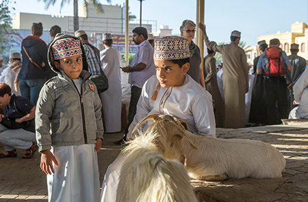 Sultanate of Oman’s Livestock Exports grows by 45% at end of 2023