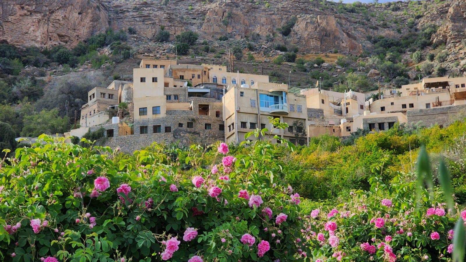 Tourism output in Oman reaches OM2.2 billion