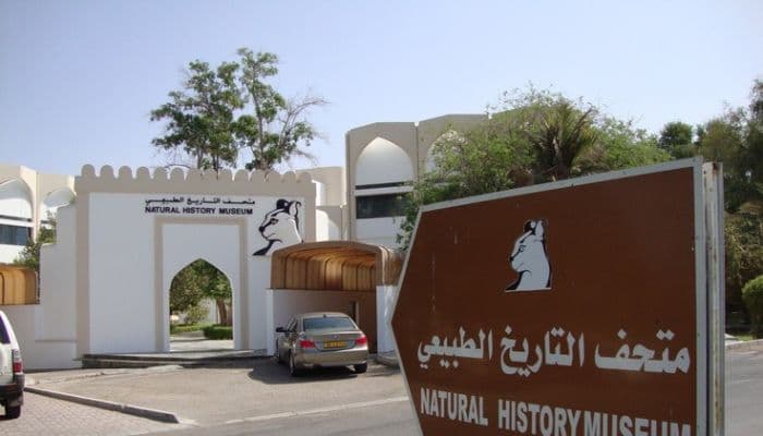 Over 30 government, private museums registered in Oman in 2025
